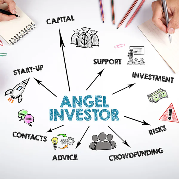 angel investor infographic (capital, support, investment, risks, crowdfunding, advice, contacts, startup)