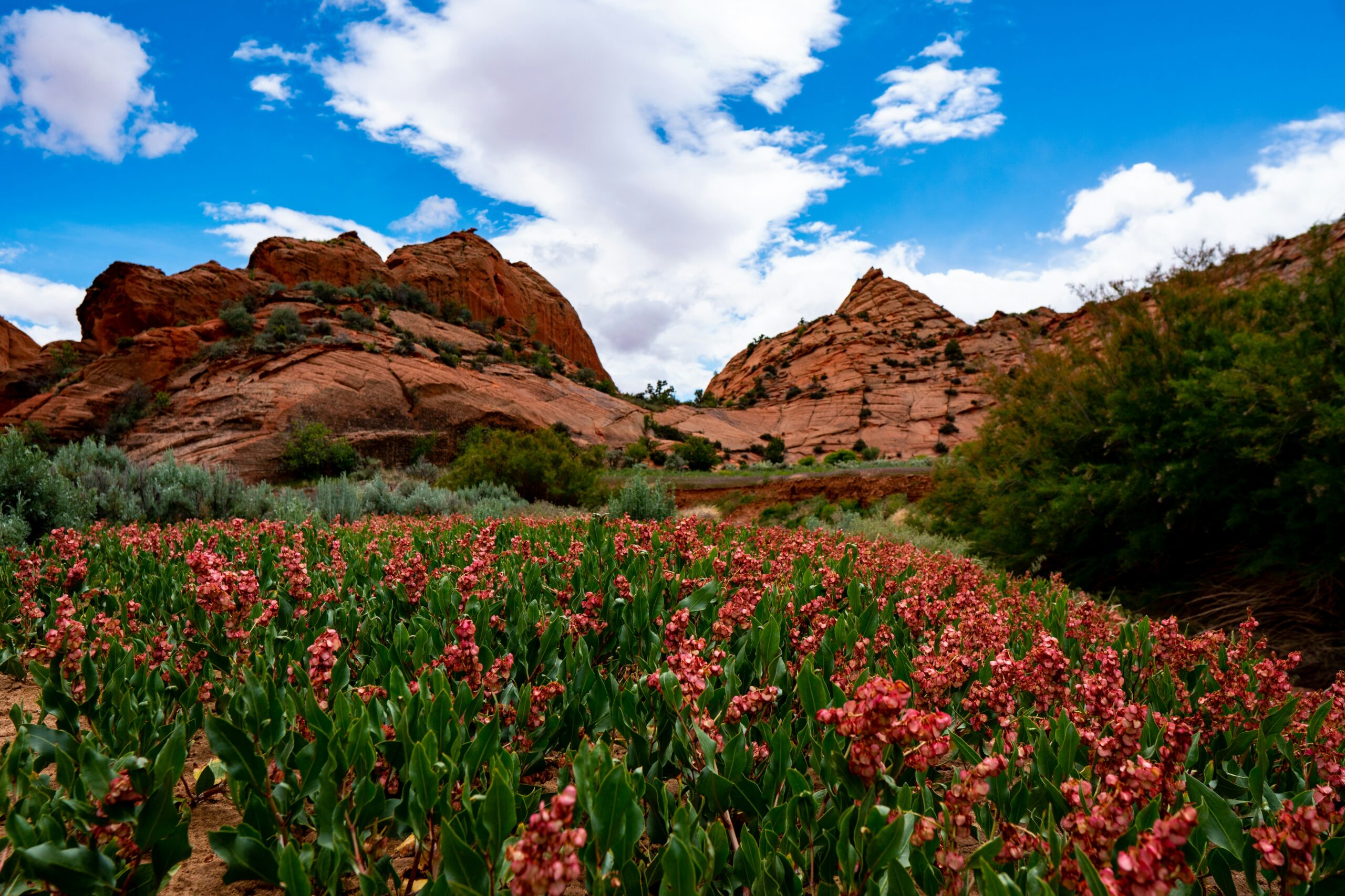 Featured image for “April Founder Feature Spotlights”